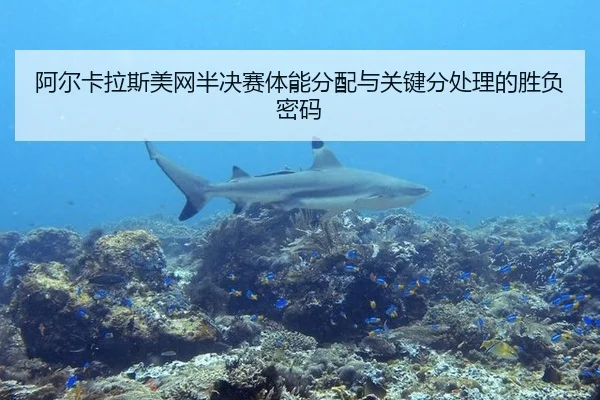a-er-ka-la-si-mei-wang-ban-jue-sai-ti-neng-fen-pei-yu-guan-jian-fen-chu-li-de-sheng-fu-mi-ma-3-377.jpg