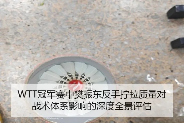 WTT冠军赛中樊振东反手拧拉质量对战术体系影响的深度全景评估