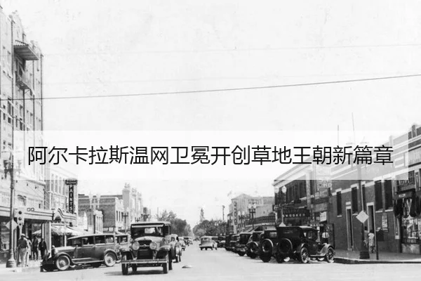 a-er-ka-la-si-wen-wang-wei-mian-kai-chuang-cao-di-wang-chao-xin-pian-zhang-3-813.jpg