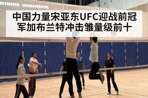 中国力量宋亚东UFC迎战前冠军加布兰特冲击雏量级前十