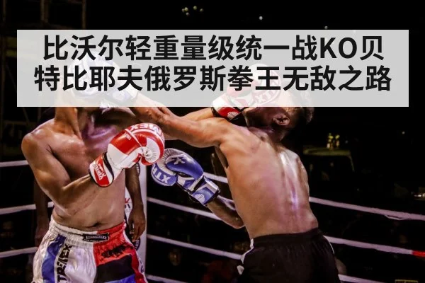 boxer training gloves